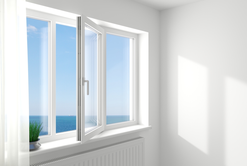 Window
